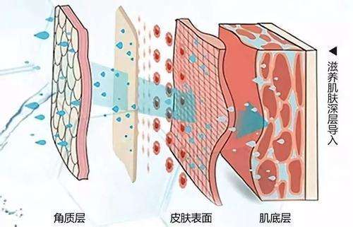 超微小氣泡--真有那么神奇？