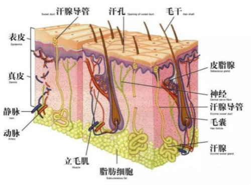 激光美容儀器有什么獨特之處？