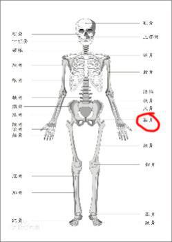 分娩后為什么盆骨會(huì)疼，盆骨肌修復(fù)儀是如何工作的？