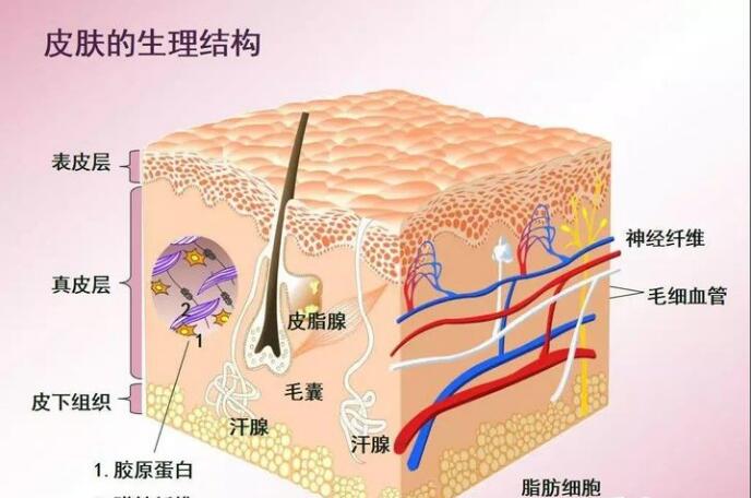 智能魔鏡皮膚檢測(cè)儀，讓您護(hù)膚之前先認(rèn)清自己的“臉”